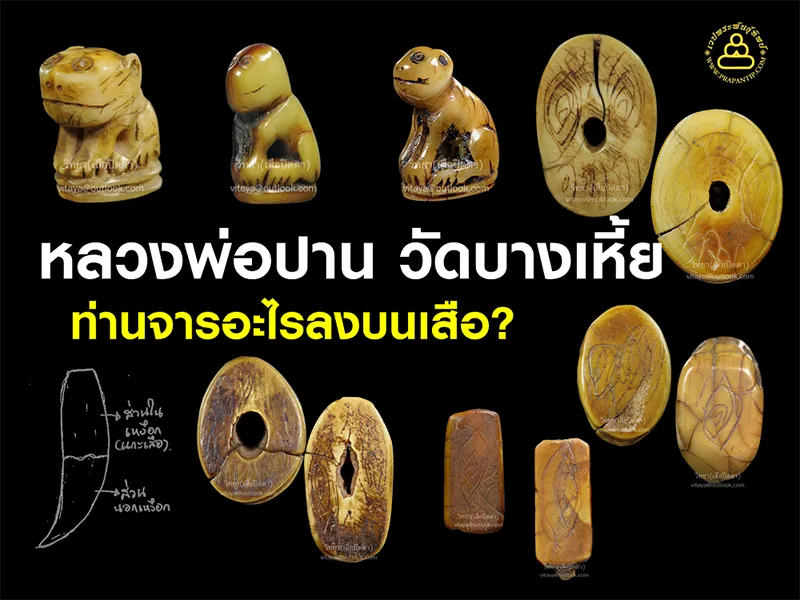 หลวงพ่อปาน วัดบางเหี้ย ท่านจารอะไรลงบนเสือ : วิทยา เสือปิดตา  