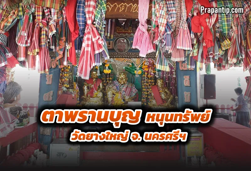 ตาพรานบุญหนุนทรัพย์ ค้าขายดี ที่วัดสีชมพู วัดยางใหญ่ นครศรีธรรมราช ความเลื่อมใสศรัทธาของชาวใต้ 