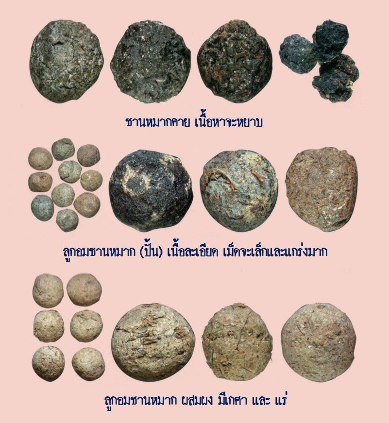 ฉบับ 173 มกราคม 2560 พระล้ำค่าเมืองใต้ ลูกอมชานหมาก พ่อท่านคล้าย