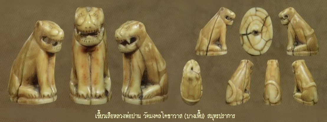 ฉบับ 139 เขี้ยวเสือหลวงพ่อปาน วัดบางเหี้ย