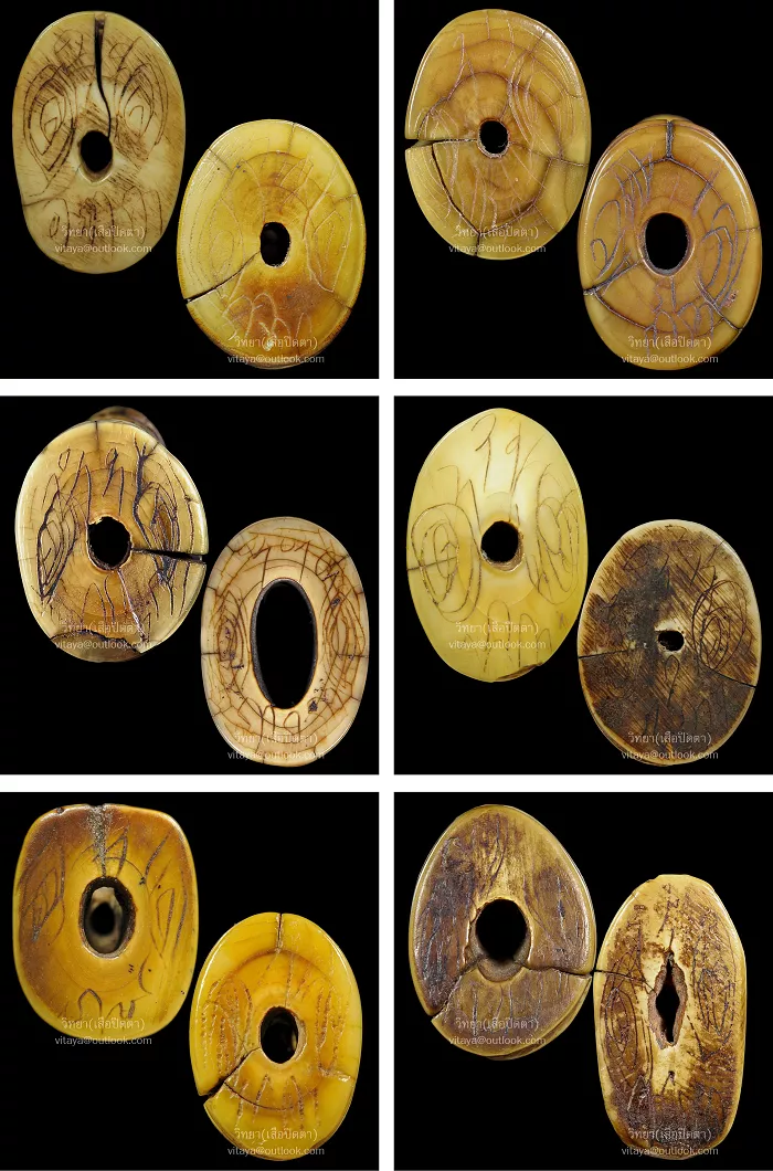 ตัวอย่างก้นเสือเขี้ยวรู หลวงพ่อปาน วัดบางเหี้ย